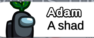 a shad