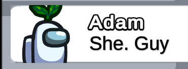she guy
