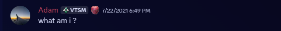 what am i